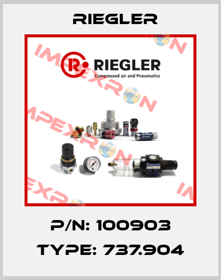 P/N: 100903 Type: 737.904 Riegler