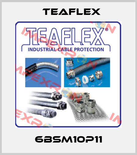 6BSM10P11 Teaflex