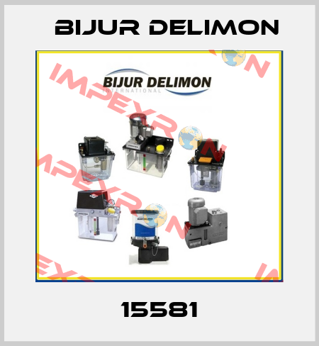 15581 Bijur Delimon