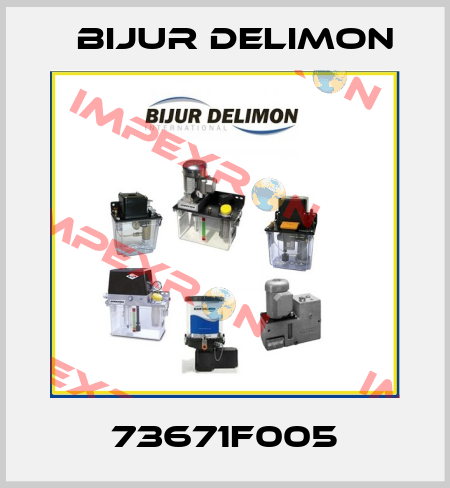 73671F005 Bijur Delimon