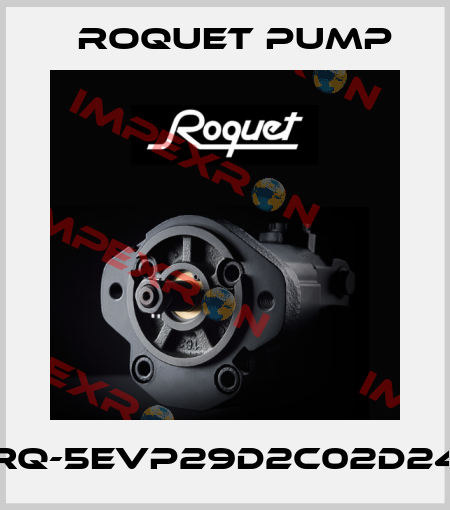 RQ-5EVP29D2C02D24 Roquet pump