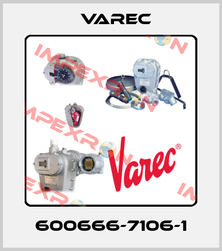 600666-7106-1 Varec