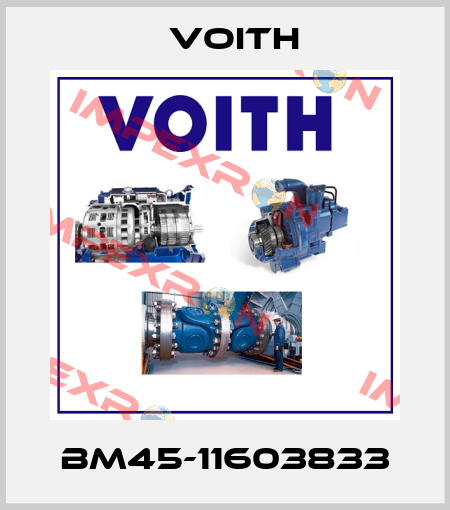 BM45-11603833 Voith