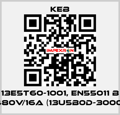 13E5T60-1001, EN55011 B 480V/16A (13U5B0D-3000) KEB