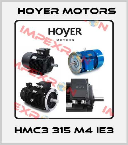HMC3 315 M4 IE3 Hoyer Motors