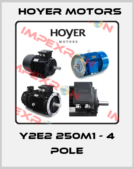 Y2E2 250M1 - 4 pole Hoyer Motors