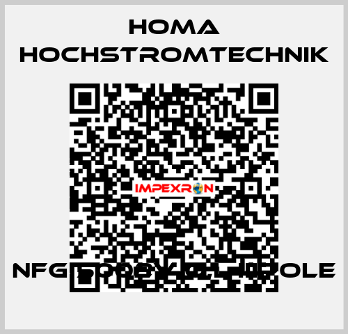 NFG 5002V o,L IIIpole HOMA Hochstromtechnik