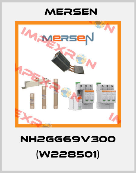 NH2GG69V300 (W228501) Mersen