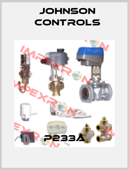 P233A Johnson Controls