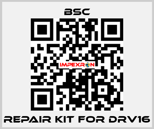 repair kit for DRV16 BSC