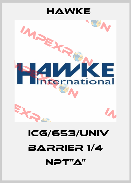 	ICG/653/UNIV Barrier 1/4 NPT"A" Hawke