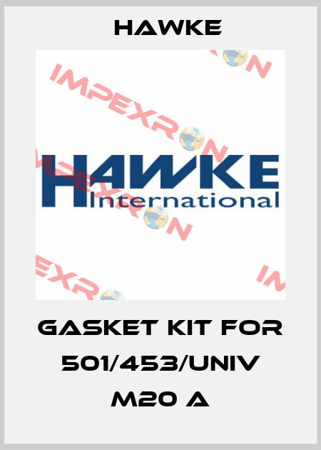 Gasket kit for 501/453/UNIV M20 A Hawke