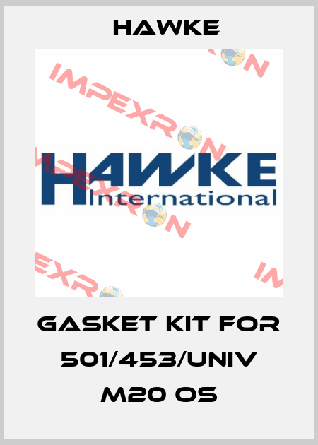 Gasket kit for 501/453/UNIV M20 OS Hawke