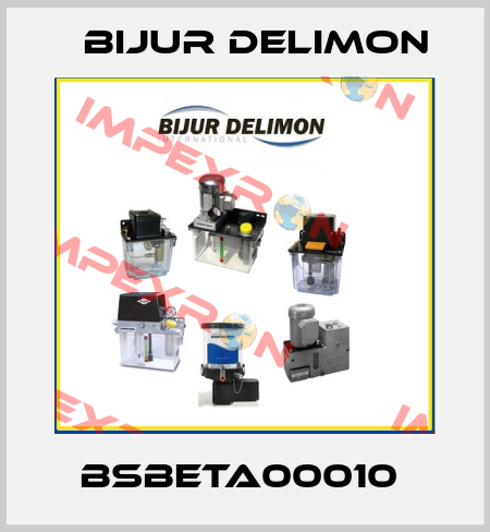 BSBETA00010  Bijur Delimon