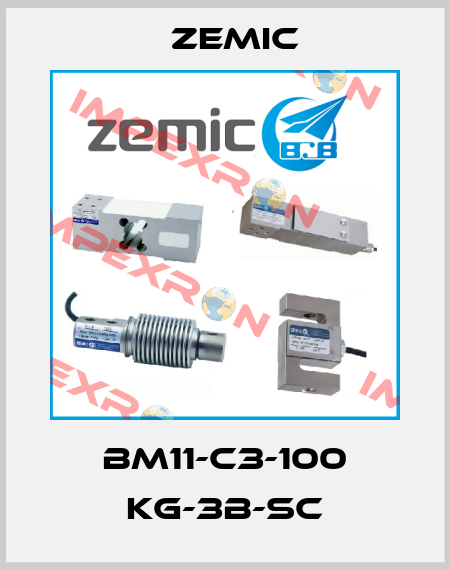 BM11-C3-100 KG-3B-SC ZEMIC