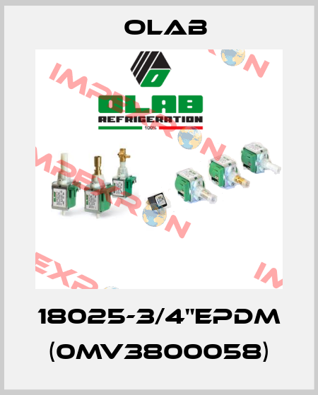 18025-3/4"EPDM (0MV3800058) Olab