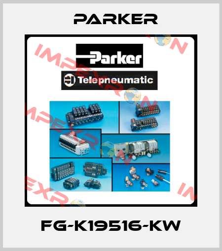 FG-K19516-KW Parker