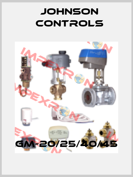 GM-20/25/40/45 Johnson Controls