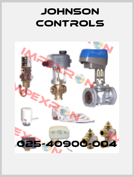 025-40900-004 Johnson Controls