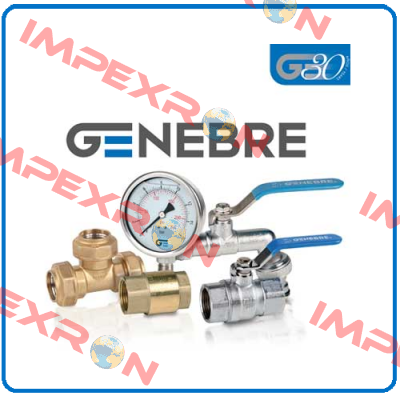 Spring for Genenbre valve GN-17 S5 F07  Genebre