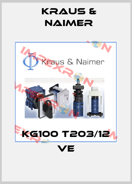 KG100 T203/12 VE Kraus & Naimer