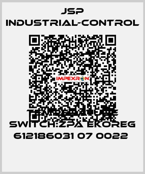 TEMPERATURE SWITCH:ZPA EKOREG 612186031 07 0022  JSP Industrial-Control