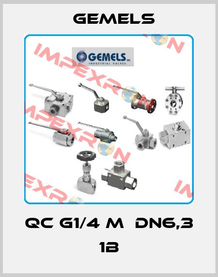 QC G1/4 M  DN6,3 1B Gemels