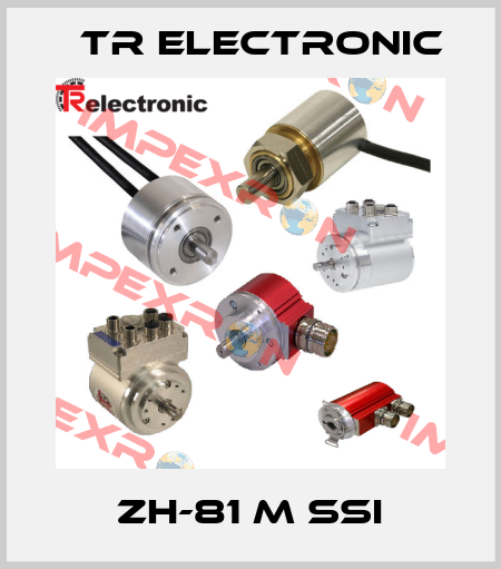 ZH-81 M SSI TR Electronic