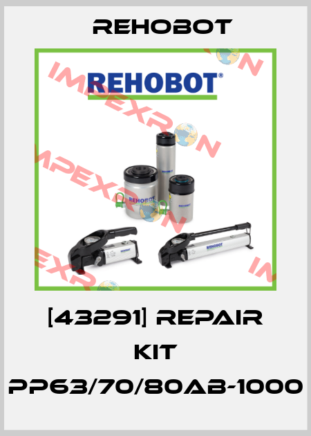 [43291] Repair kit PP63/70/80AB-1000 Rehobot