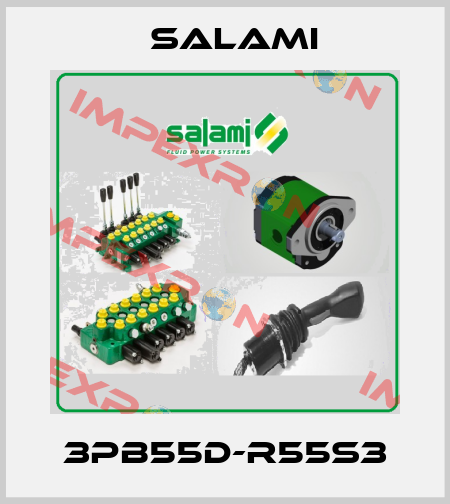 3PB55D-R55S3 Salami