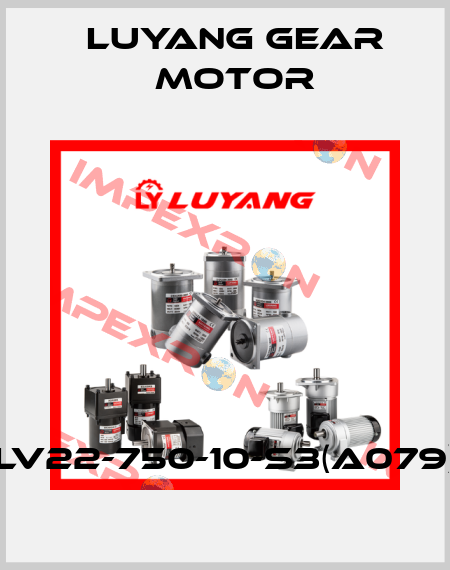 LV22-750-10-S3(A079) Luyang Gear Motor
