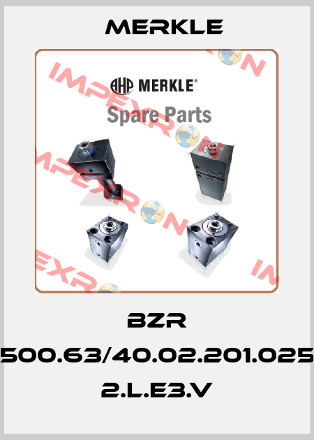 BZR 500.63/40.02.201.025 2.L.E3.V Merkle