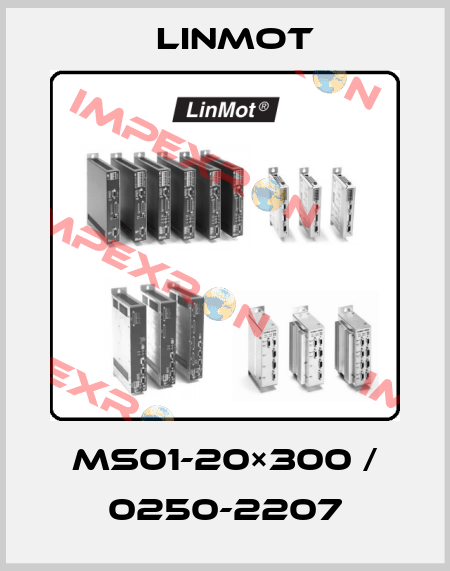 MS01-20×300 / 0250-2207 Linmot