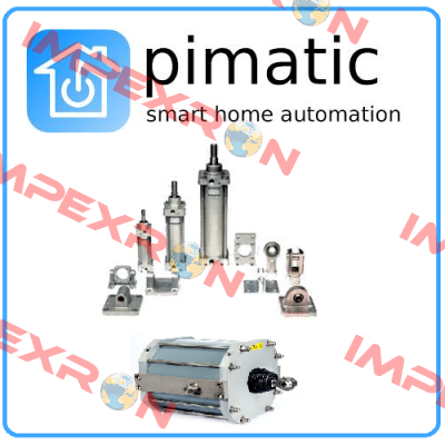 5111-45-2F-* Valve Pimatic