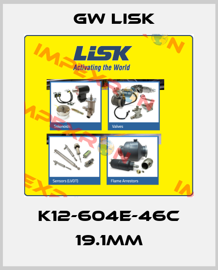 K12-604E-46C 19.1MM Gw Lisk