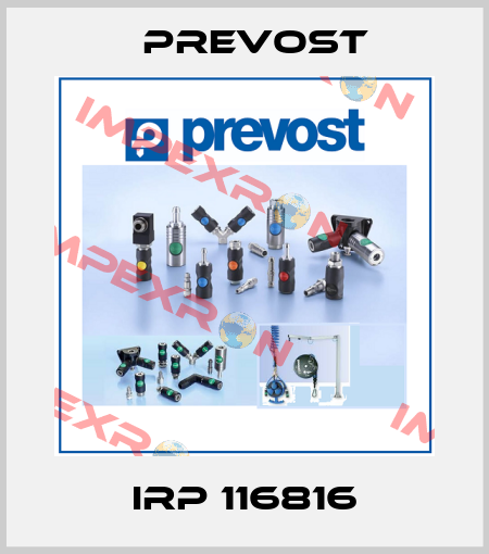 IRP 116816 Prevost
