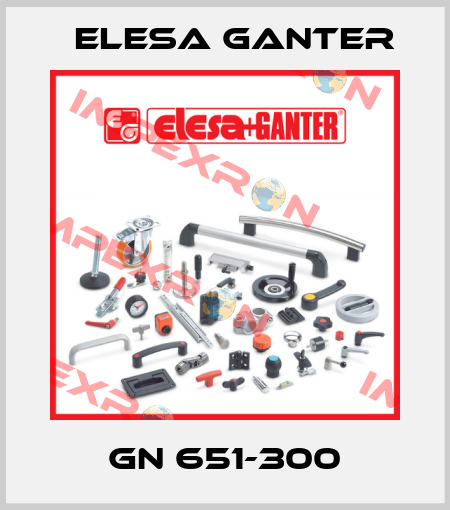 GN 651-300 Elesa Ganter