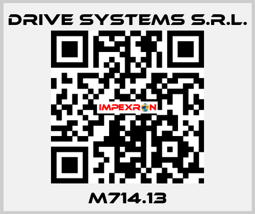 M714.13 DRIVE SYSTEMS s.r.l.
