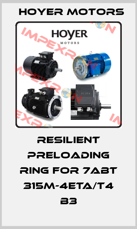 Resilient preloading ring for 7ABT 315M-4ETA/T4 B3 Hoyer Motors
