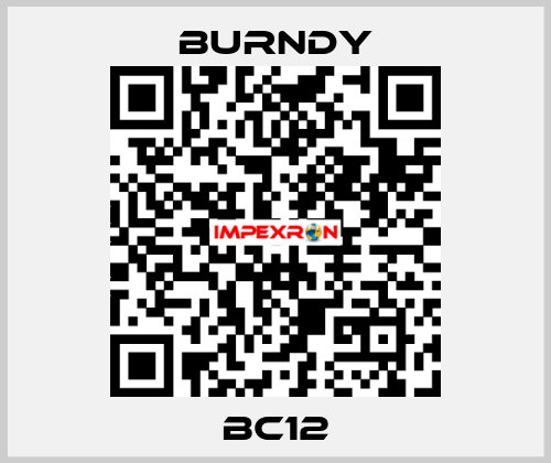 BC12 Burndy