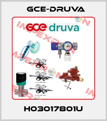 H03017801U Gce-Druva