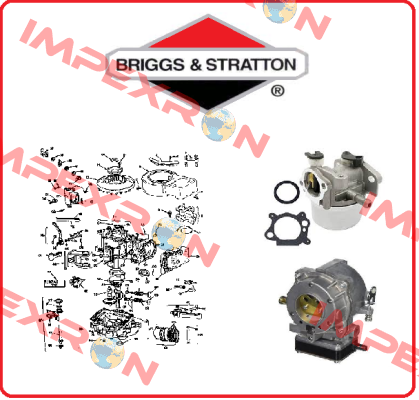 841601 Briggs-Stratton