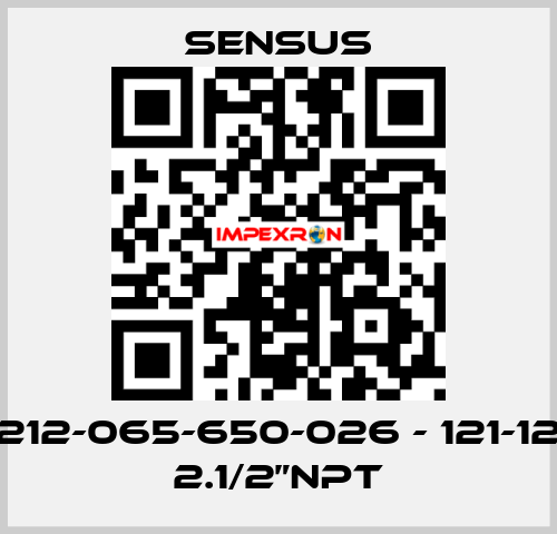 212-065-650-026 - 121-12 2.1/2”NPT Sensus