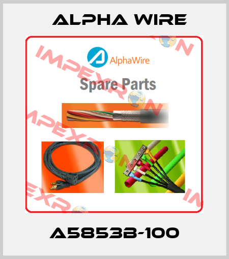 A5853B-100 Alpha Wire