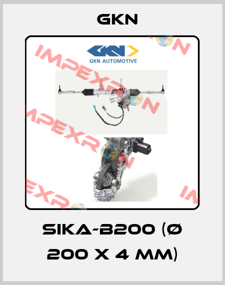 SIKA-B200 (ø 200 x 4 mm) GKN