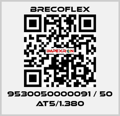 9530050000091 / 50 AT5/1.380 Brecoflex