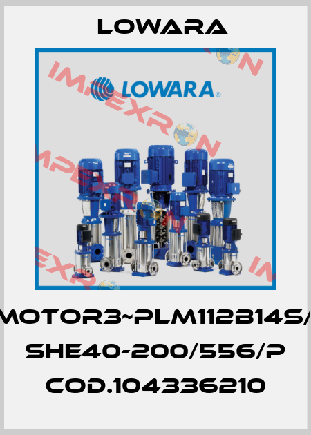 53013H00/Motor3~PLM112B14S/355+Pump SHE40-200/556/P cod.104336210 Lowara
