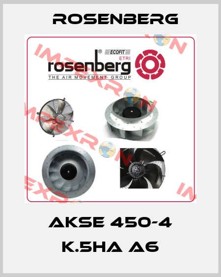 AKSE 450-4 K.5HA A6 Rosenberg
