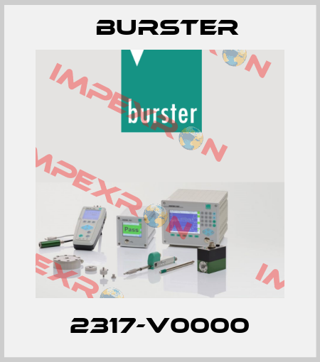2317-V0000 Burster