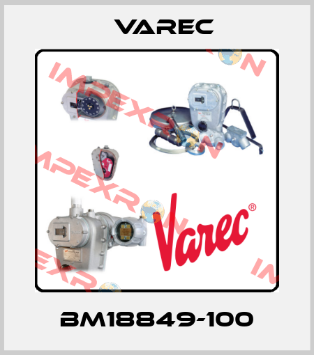 BM18849-100 Varec